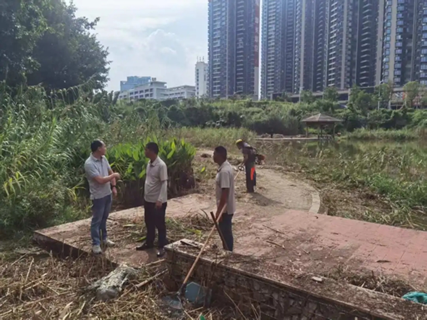 满！深圳光明这个街道做了这些事……九游会