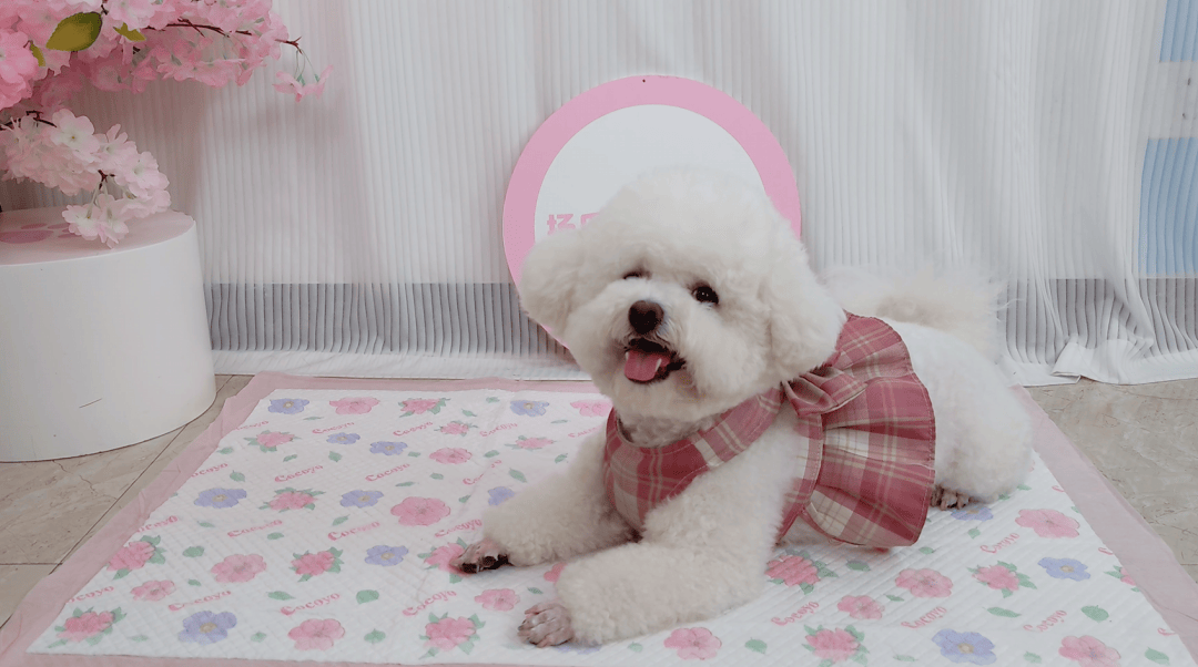 ：近万商家销售额从0增长到百万刺激实体经