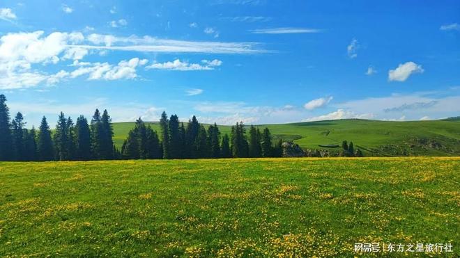 6天草原湖畔慢生活带娃乐享自然课堂九游会j9登录六月伊犁亲子清凉记：(图2)
